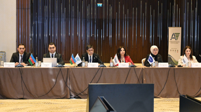 BRAF holds 11th annual meeting in Baku, highlights child protection in media