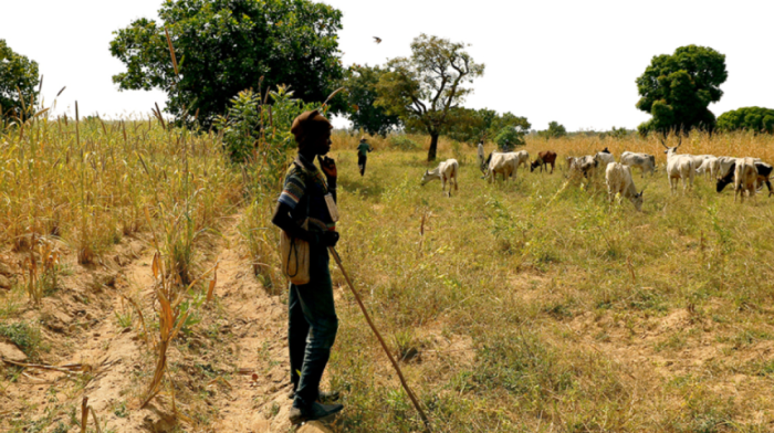 Armed herdsmen attack Nigerian community, killing seven in Benue State