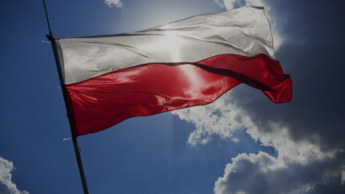 Poland's ruling party presidential candidate leads in opinion poll before May vote
