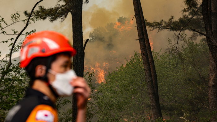 South Korean city orders evacuations as wildfire spreads rapidly