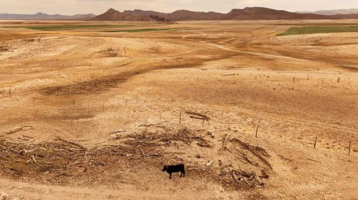 US and Mexico reach 'Historic' agreement to address water shortages in Texas