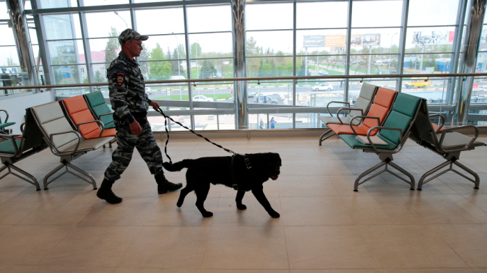 Putin restores 'Stalingrad' name to Volgograd airport in wartime gesture  Preheading:
