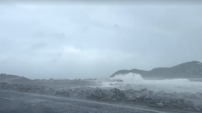 Severe winds hit New Zealand coast, forces flight cancellations
