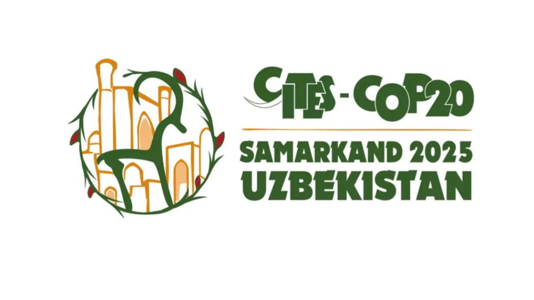 Uzbekistan prepares to host CITES COP20 in Samarkand in 2025