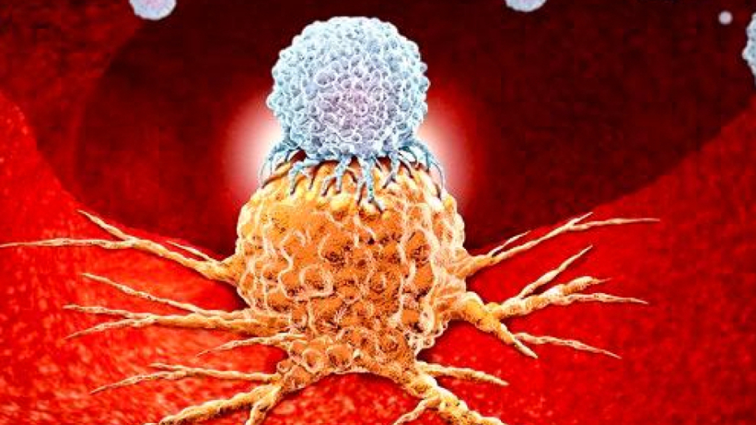 UK researchers develop rigid antibody to target cancer cells
