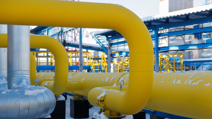 Slovakia and Hungary condemn EU's plan to phase out Russian energy