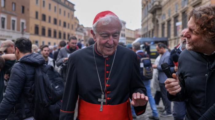 Cardinal shares experience of papal conclave that elected Pope Leo XIV