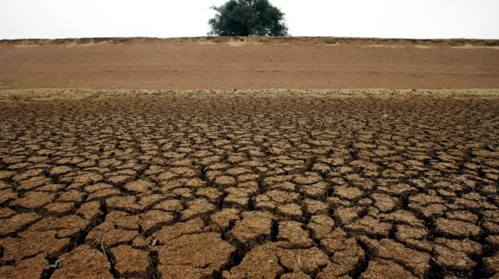 UK Rivers at risk as drought looms and water levels plunge