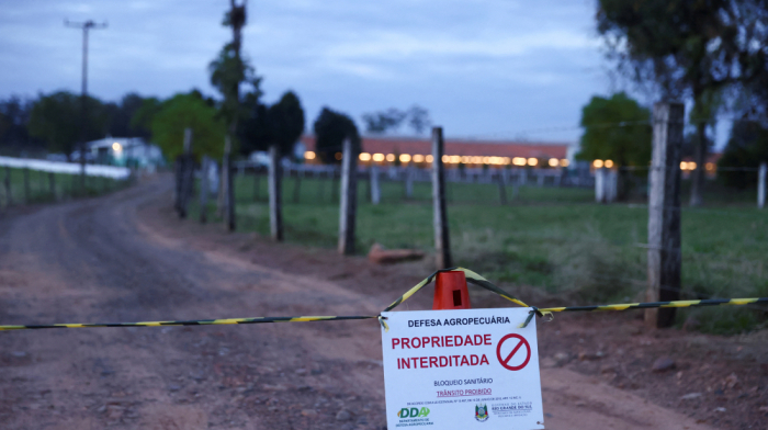Mexico, Chile and Uruguay pause poultry imports from Brazil after bird flu outbreak