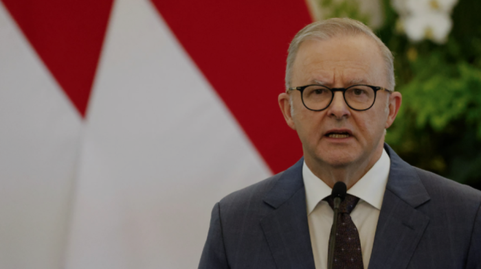 Albanese signals low hopes for EU trade agreement