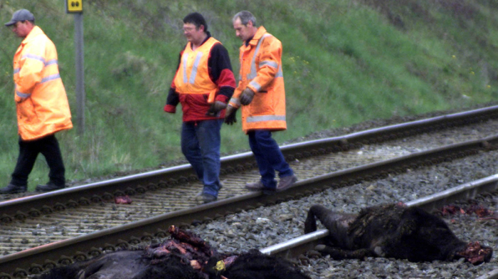 Will Labour’s rail shake-up fix Britain’s struggling railways?