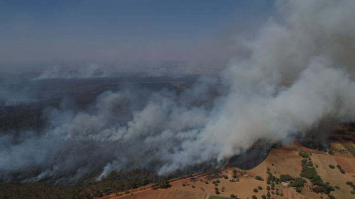 2024’s wildfire wake-up call: forests vanishing at record pace