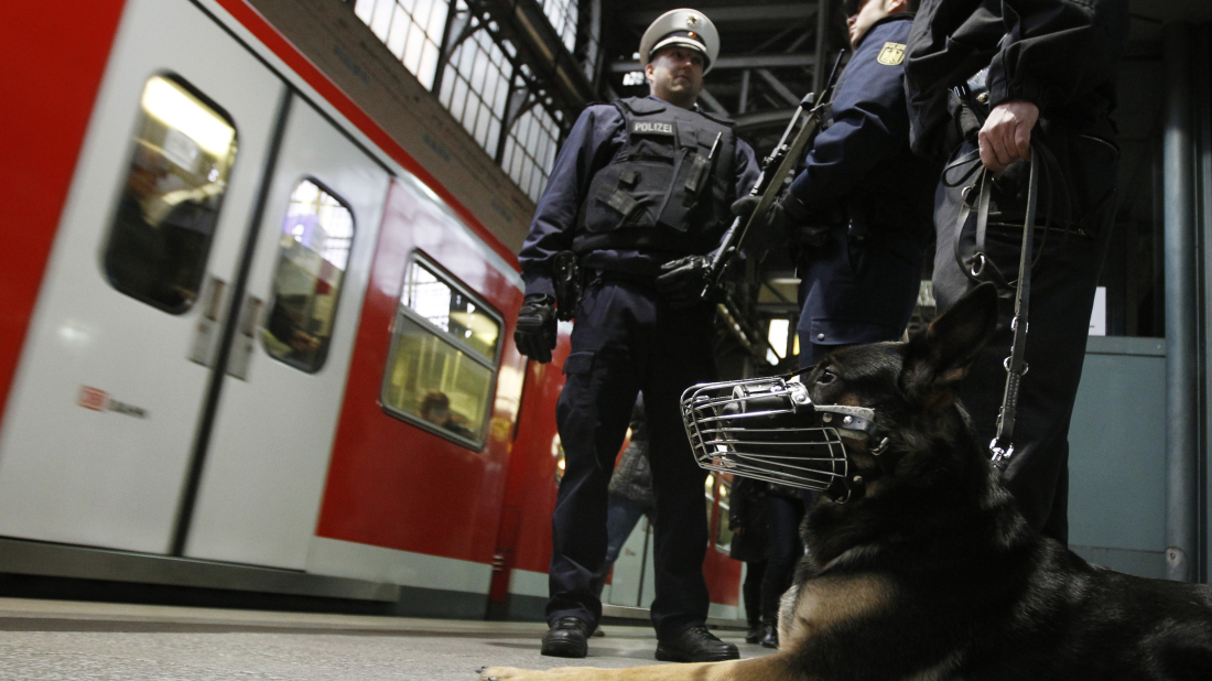 Dozens injured in knife attack at Hamburg train station
