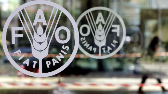 FAO report: Gaza faces food collapse as 80% of farmland damaged