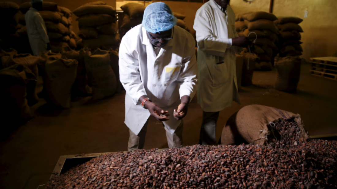 Cocoa, Coffee, and Wheat: EU Food Imports at Risk from Climate and Biodiversity Crises