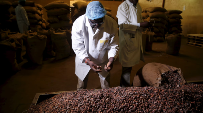 Cocoa, Coffee, and Wheat: EU Food Imports at Risk from Climate and Biodiversity Crises