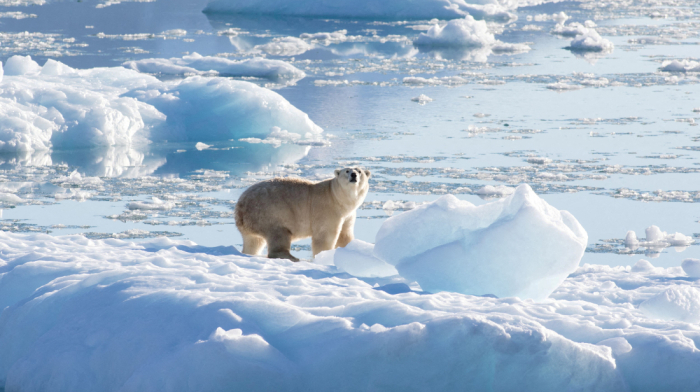 WMO warns of record heat as world nears critical climate threshold