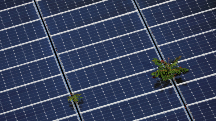Experts refute claim that renewable energy experiment caused Iberian Peninsula blackout