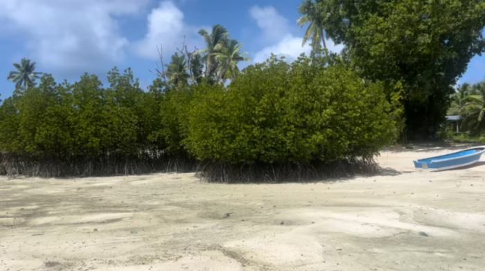 Pacific communities lead ocean conservation as climate impacts intensify