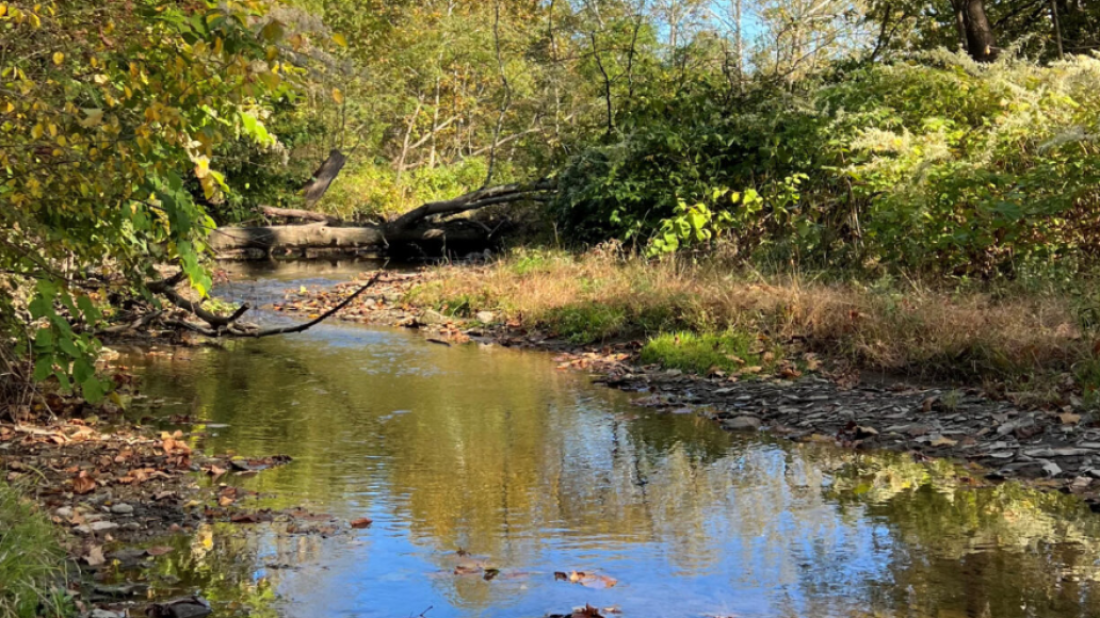 PennEnergy surrenders water permits for Pennsylvania creek