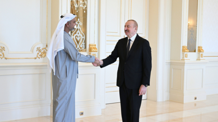 Azerbaijani President hosts UAE business delegation to strengthen cooperation