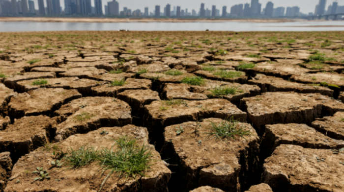 Earth’s next five years expected to be hottest ever, WMO warns