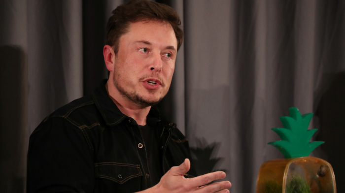 Musk should focus on business, says U.S. Treasury chief