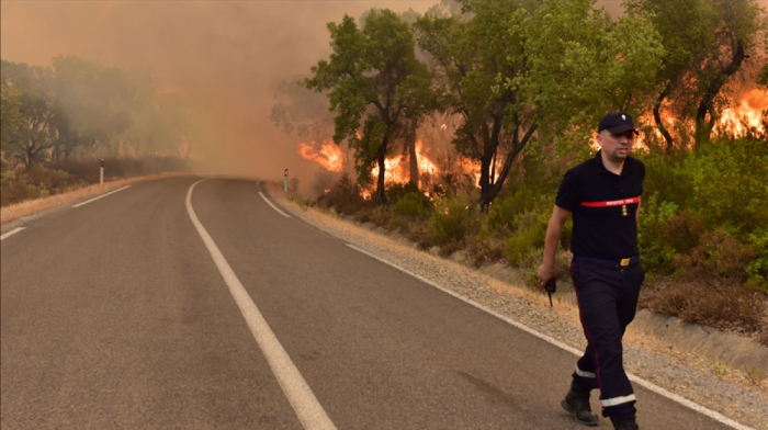 Morocco fights Tangier wildfires as heat, winds fuel spread