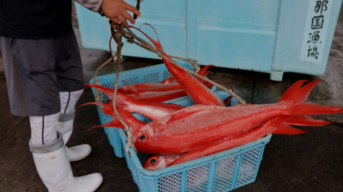 China set to resume Japanese seafood imports halted due to Fukushima worries
