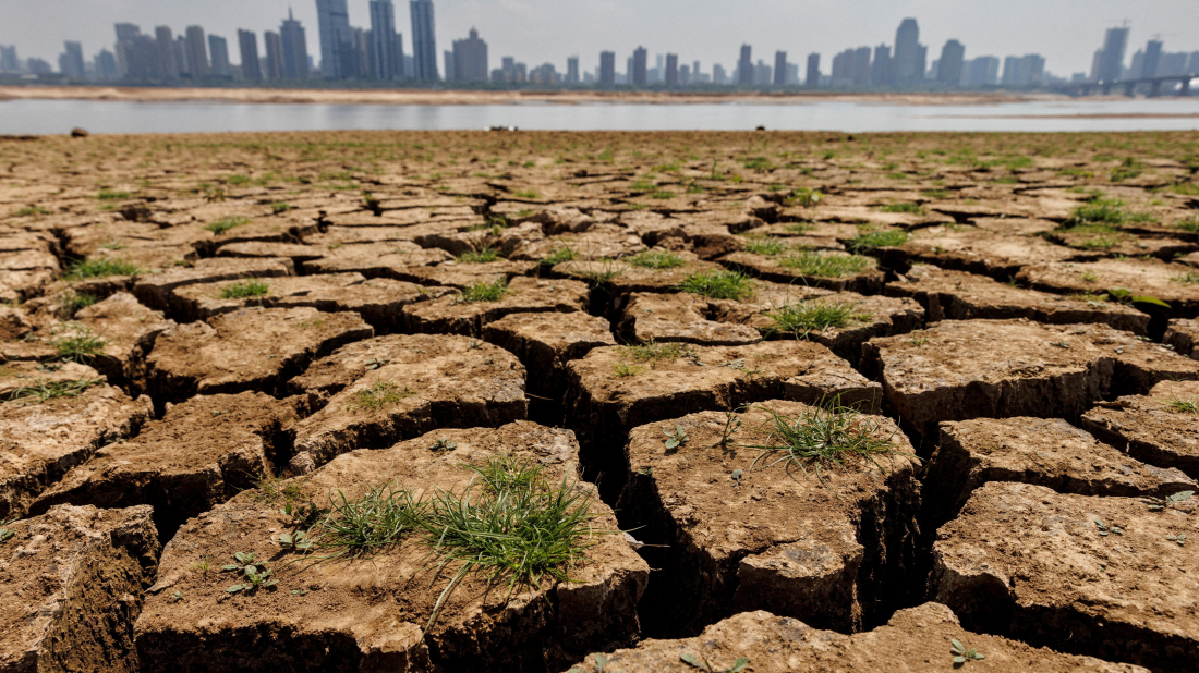 Climate change adds 30 extra days of extreme heat for 4 billion people: Report