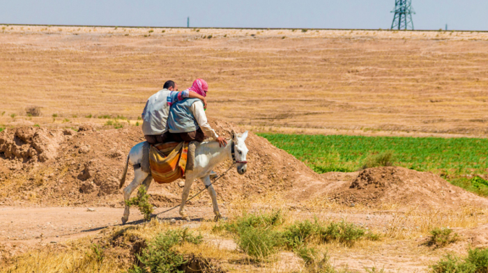 Green Climate Fund to boost water efficiency in Southern Iraq