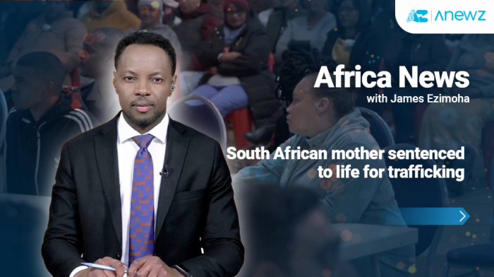 Africa News | May 31st, 2025
