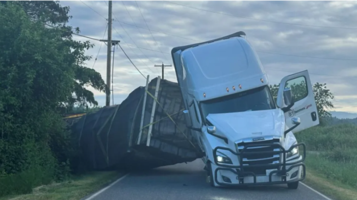 Truck overturns in Washington state, releasing millions of bees