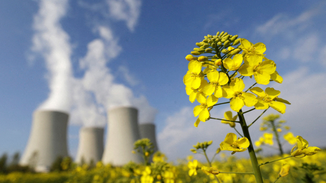 Global scientists urge sronger cooperation for sustainable development
