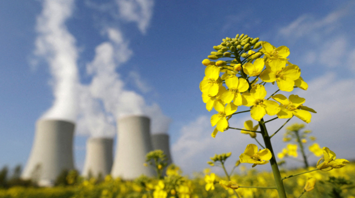 Global scientists urge sronger cooperation for sustainable development