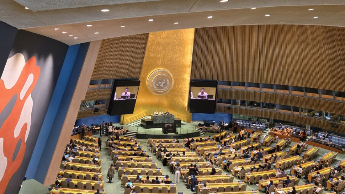 France faces modern colonialism claims at UN forum on African descent