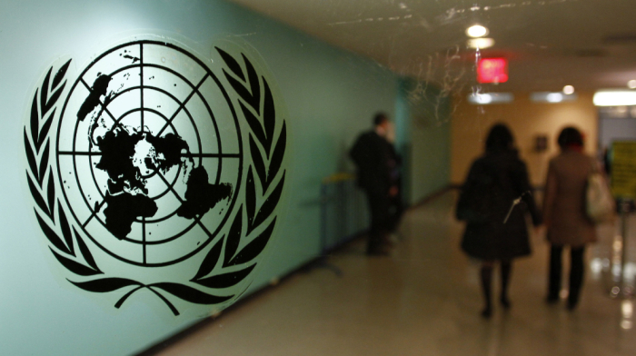 Five countries elected to UN Security Council