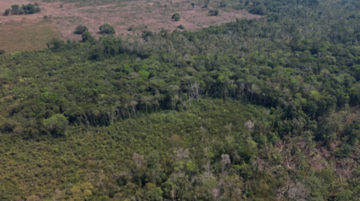 Brazilian prosecutors move to cancel $180 million Amazon carbon deal