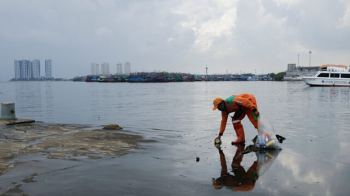 Japan scientists create plastic that dissolves in seawater within hours