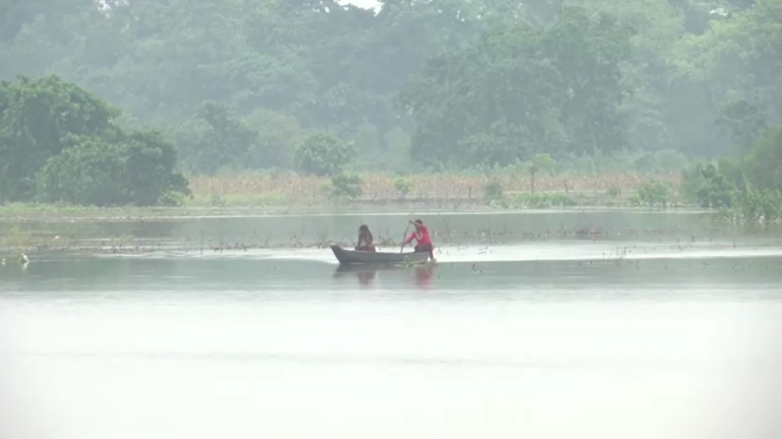 Floods displace thousands in Assam, threaten one-horned rhinos in Pobitora sanctuary