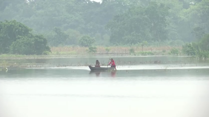 Floods displace thousands in Assam, threaten one-horned rhinos in Pobitora sanctuary