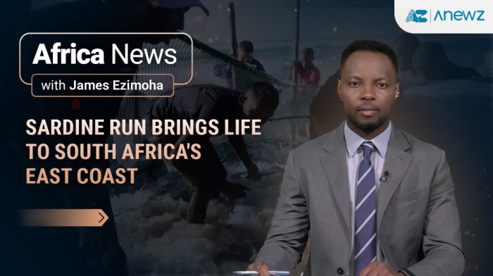 Africa News | June 4th, 2025