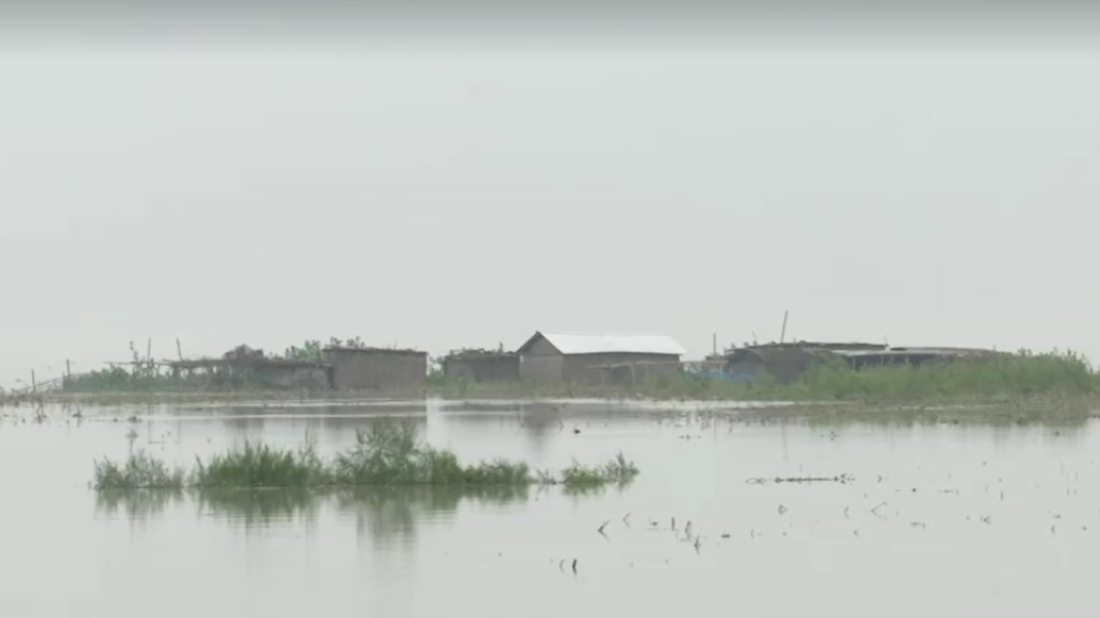 Villagers and rhinos displaced by floods in northeast India
