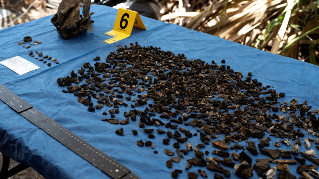 DNA Analysis Uncovers Lost Indigenous Group in Colombia | AnewZ