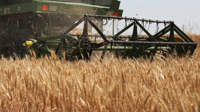 Food prices dip in may, grain harvest set for record high
