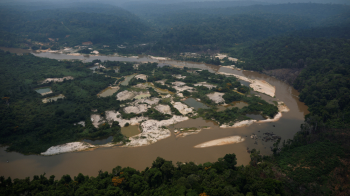 Colombia sees 33% drop in deforestation, major gains in Amazon parks