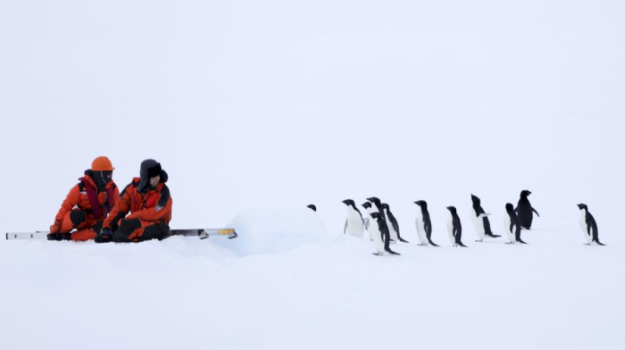 First-ever autumn study reveals thriving deep-sea ecosystem in Antarctica