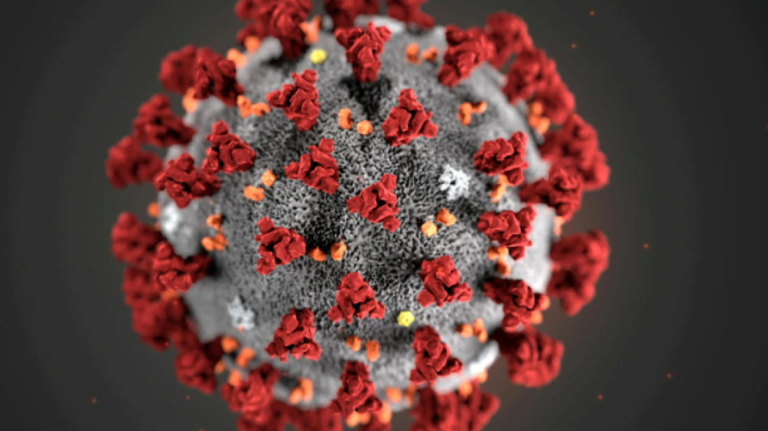 Scientists uncover 230 new giant viruses in world’s oceans