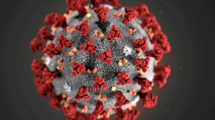Scientists uncover 230 new giant viruses in world’s oceans