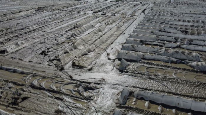 Italy faces over 5% GDP loss by 2050 if climate action stalls